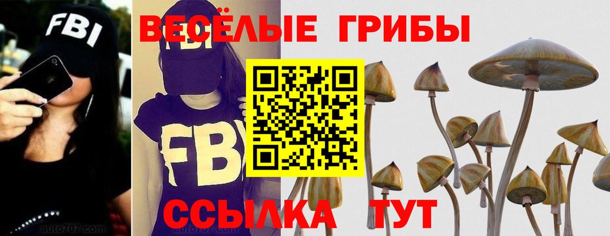 Псилоцибиновые грибы Cubensis Урай